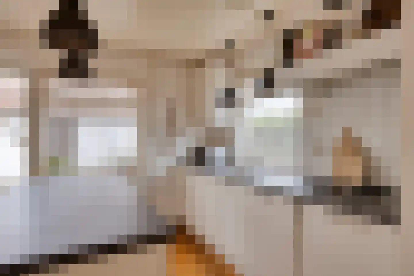 Prins Bernhardstraat 16 Drunen thumbnail 9