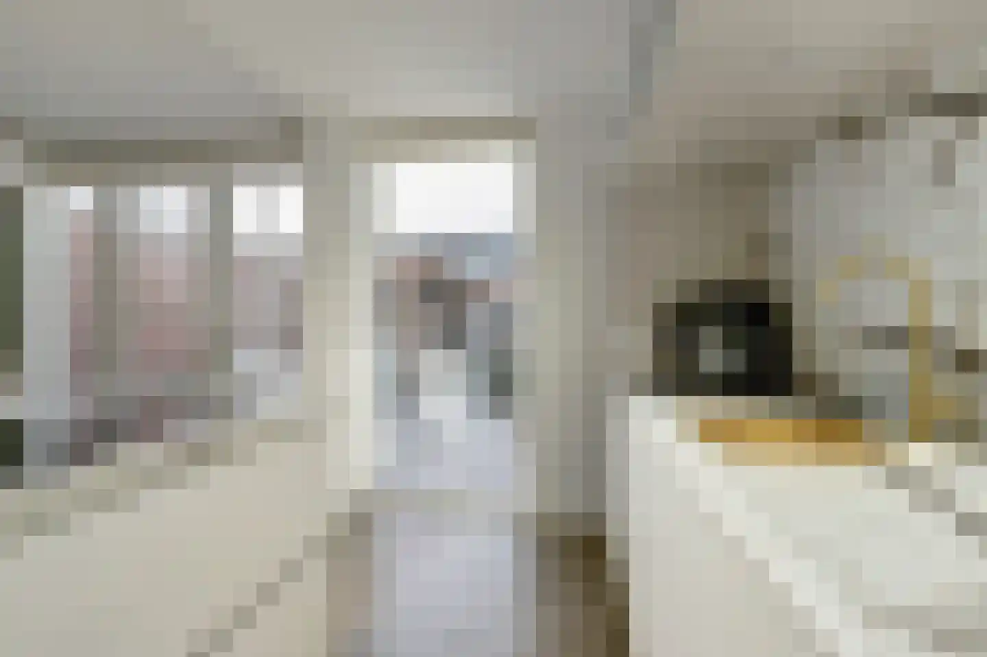 Prins Bernhardstraat 16 's-Gravenzande thumbnail 20