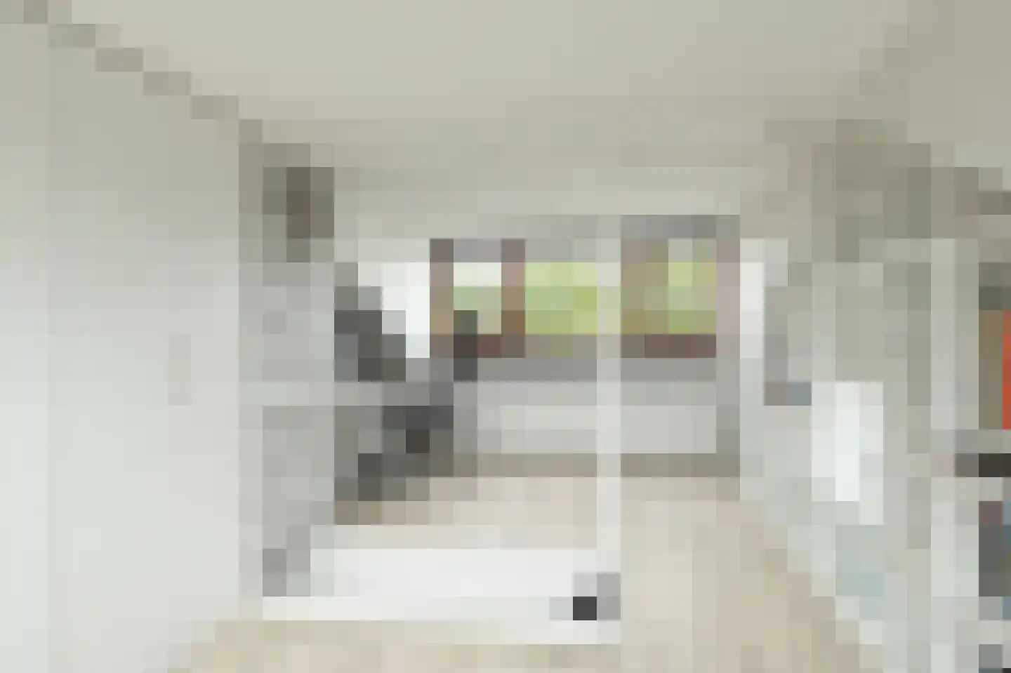 Prins Bernhardstraat 17 Barendrecht thumbnail 30