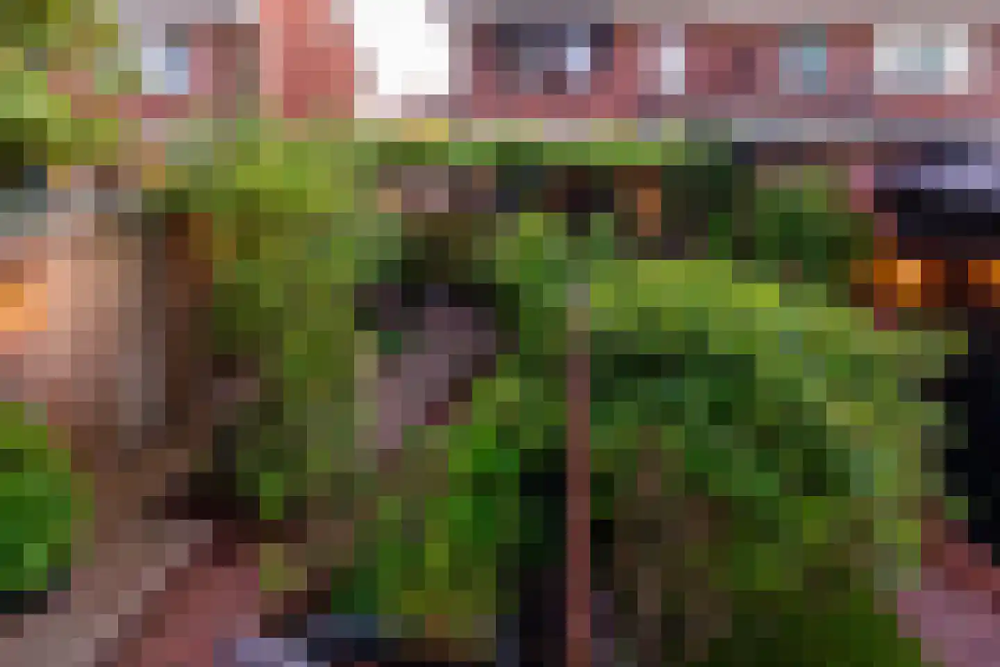 Prins Bernhardstraat 17 Barendrecht thumbnail 42