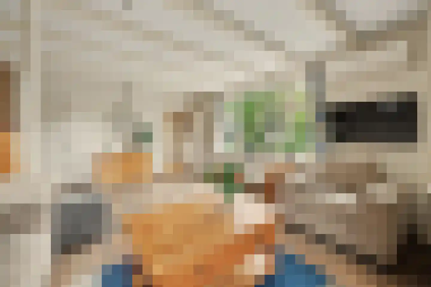Prins Bernhardstraat 17 Nieuwdorp thumbnail 10