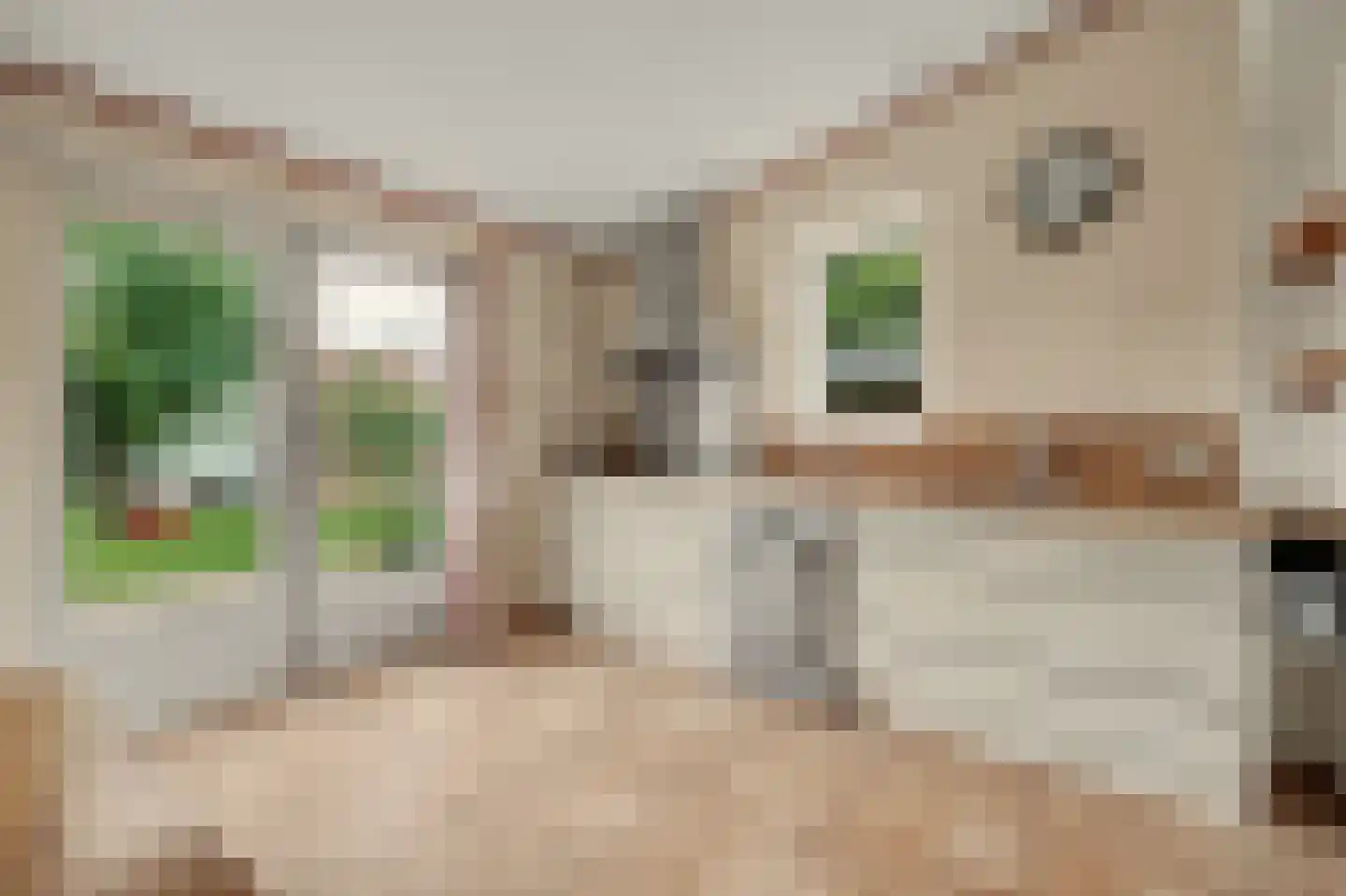 Prins Bernhardstraat 17 Nieuwdorp thumbnail 12