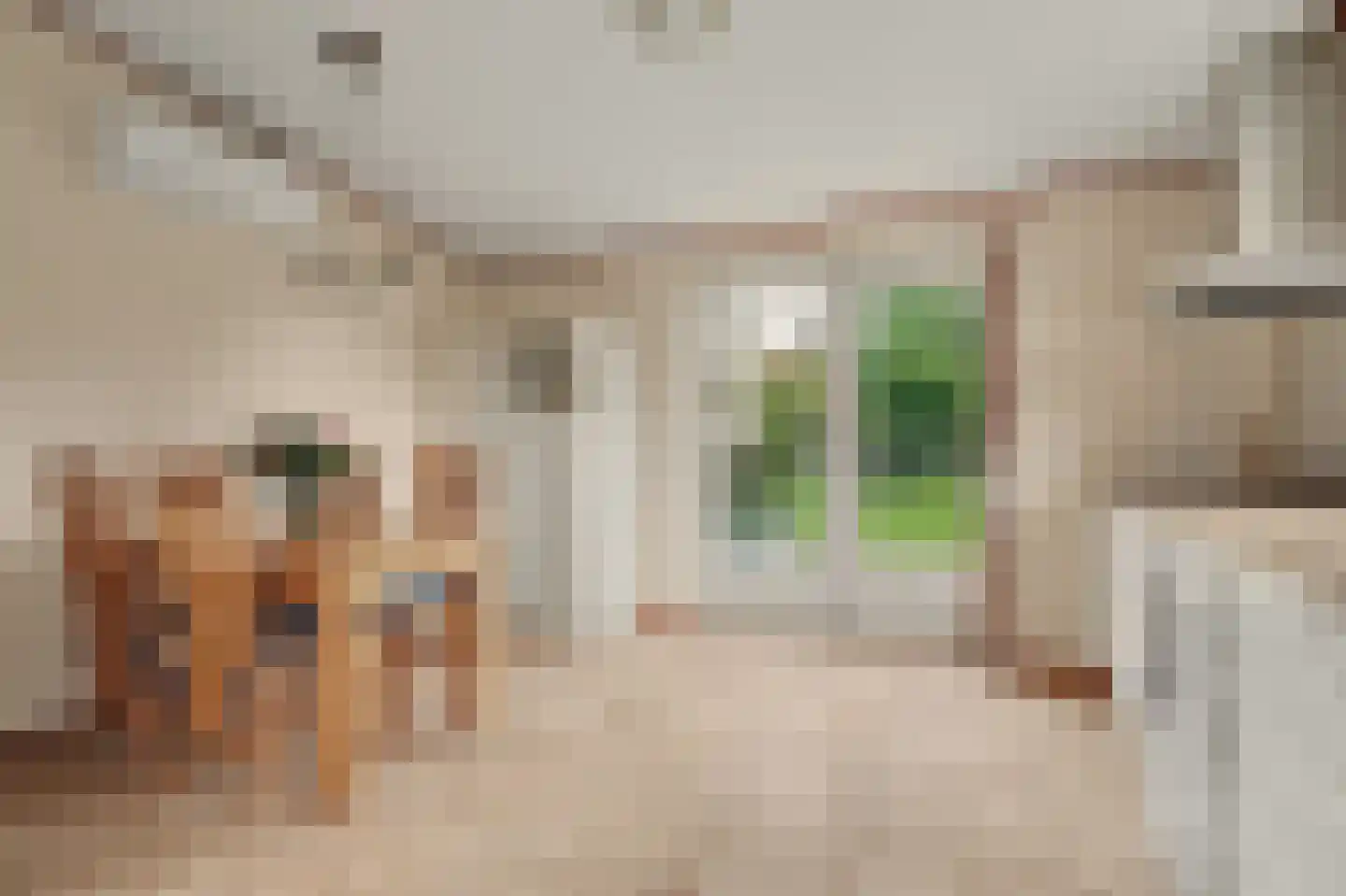 Prins Bernhardstraat 17 Nieuwdorp thumbnail 13