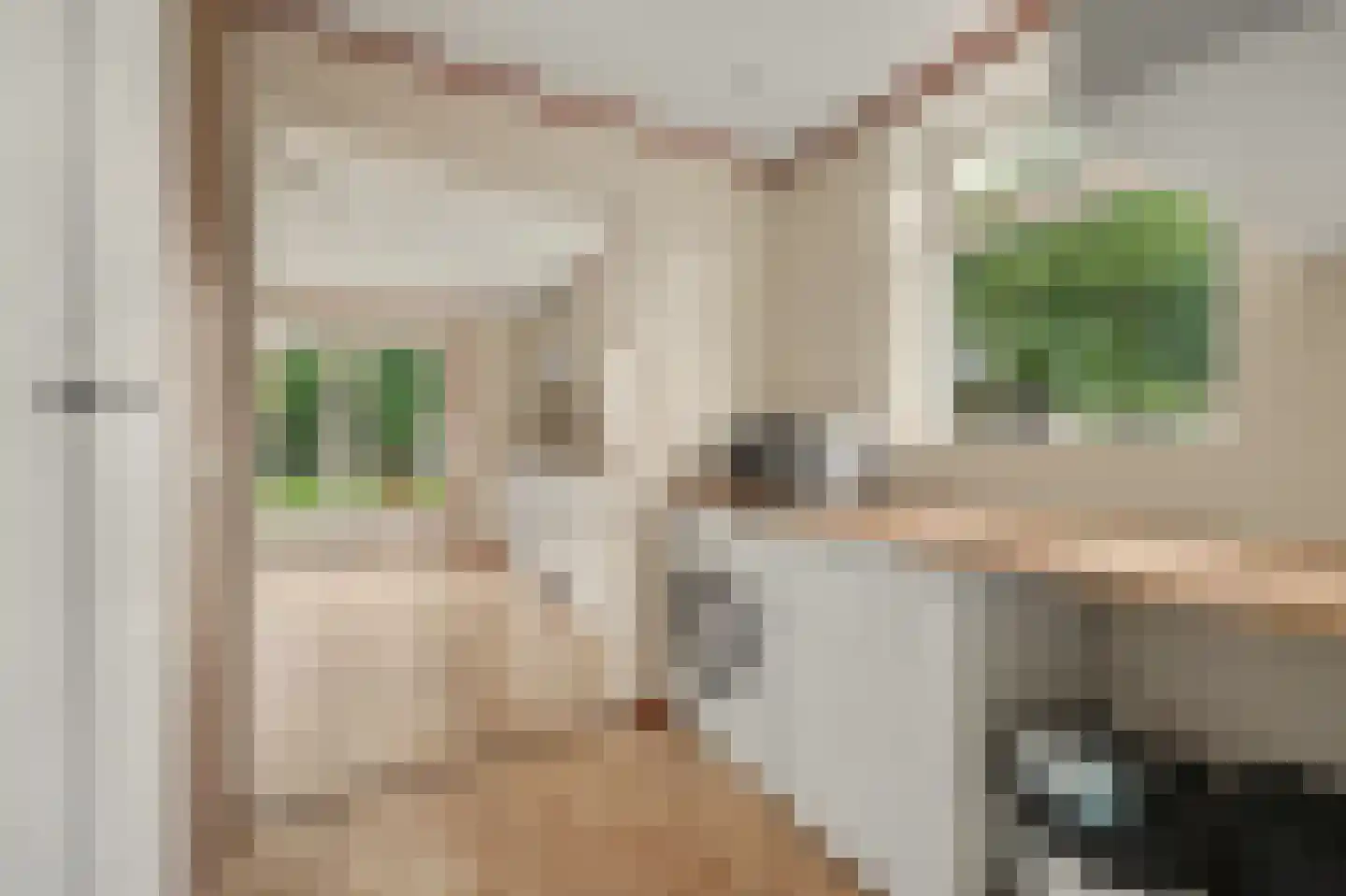Prins Bernhardstraat 17 Nieuwdorp thumbnail 17