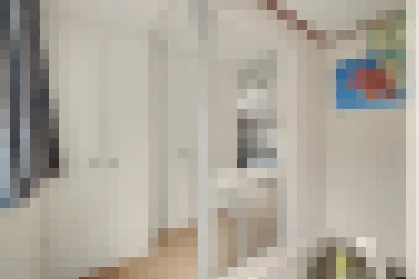Prins Bernhardstraat 17 Nieuwdorp thumbnail 24