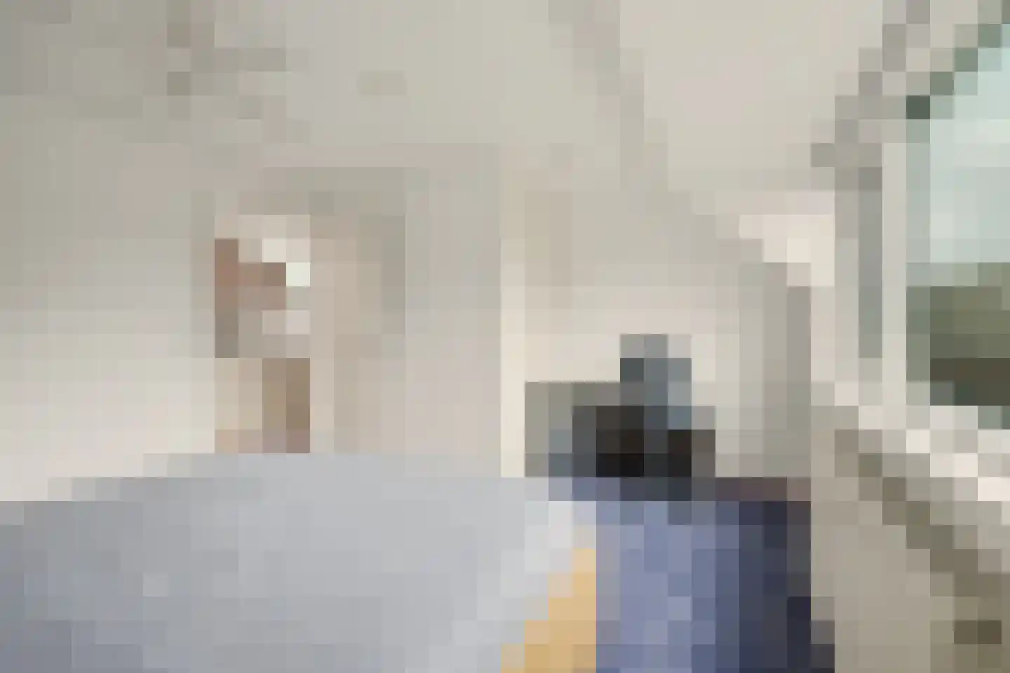 Prins Bernhardstraat 17 Nieuwdorp thumbnail 27