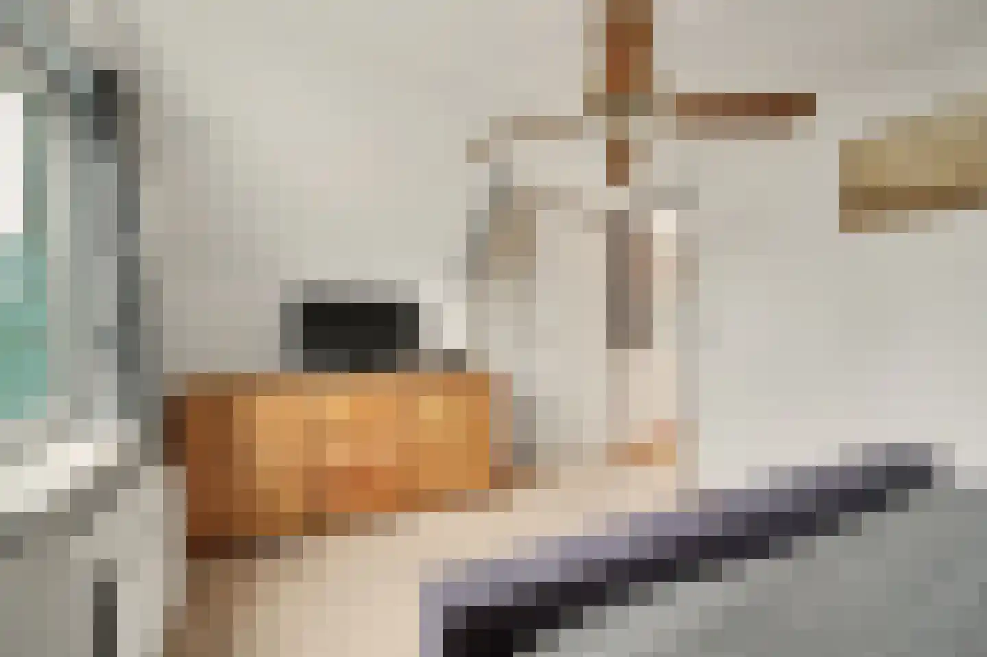 Prins Bernhardstraat 17 Nieuwdorp thumbnail 29