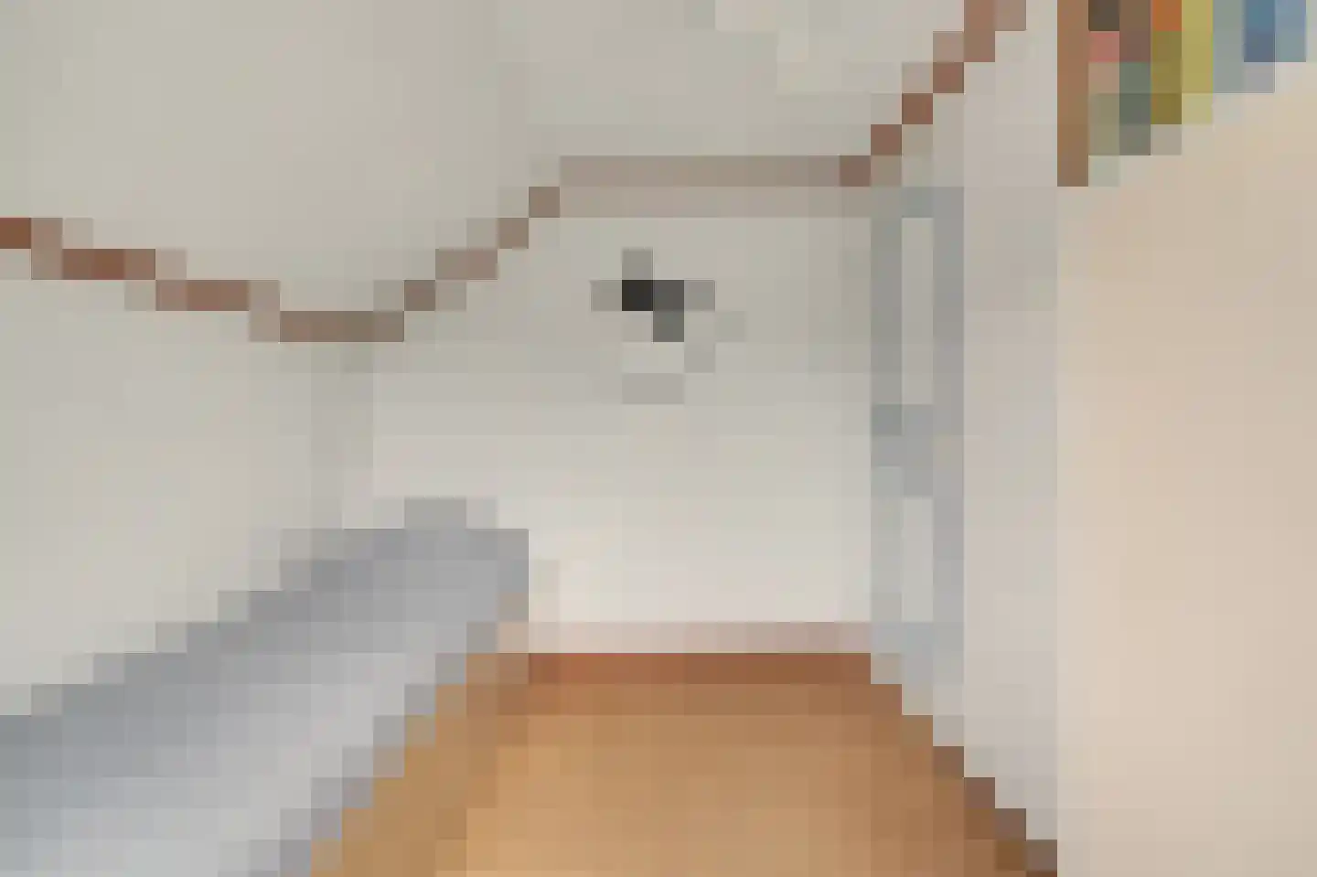 Prins Bernhardstraat 17 Nieuwdorp thumbnail 31