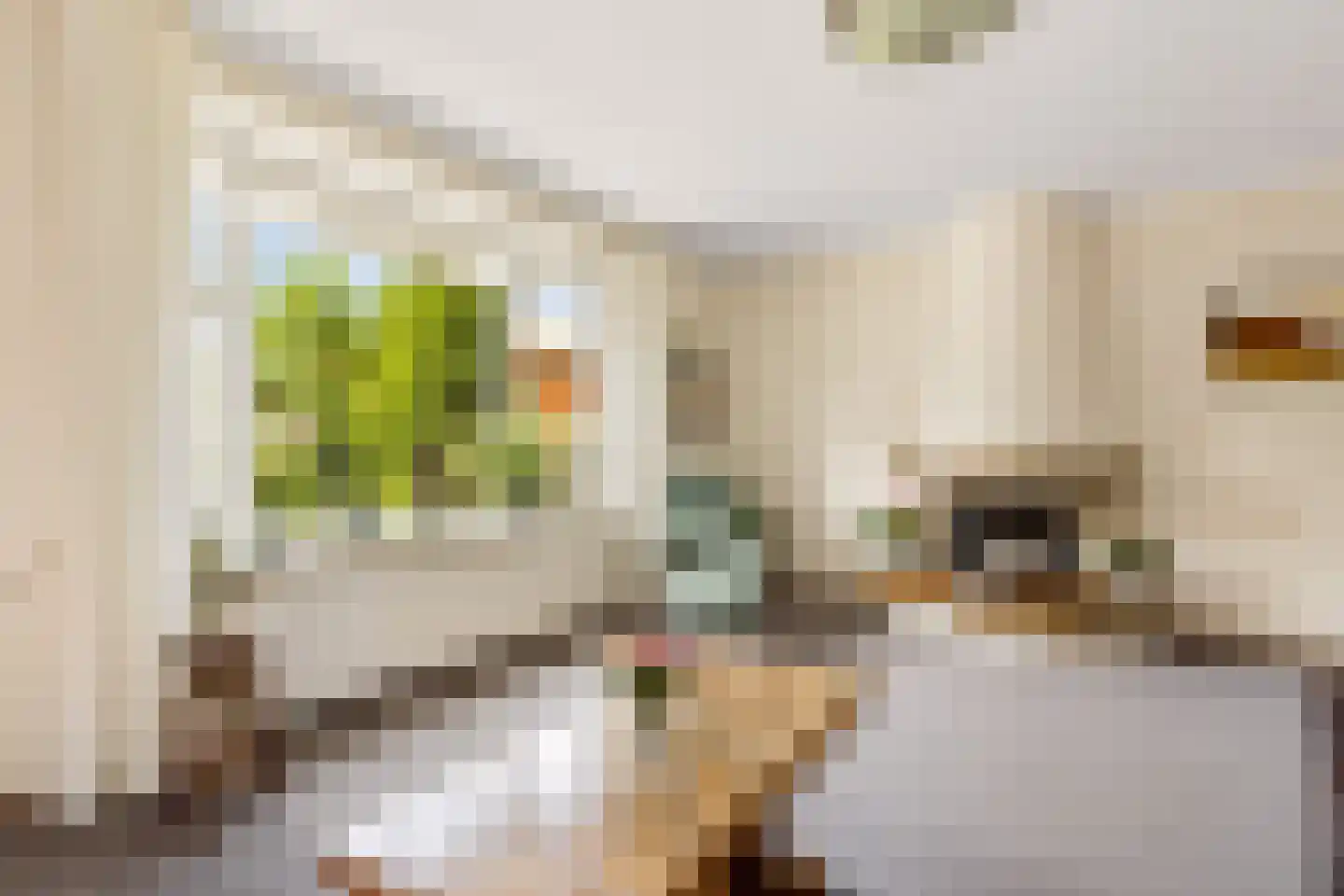 Prins Bernhardstraat 18 Bunnik thumbnail 16