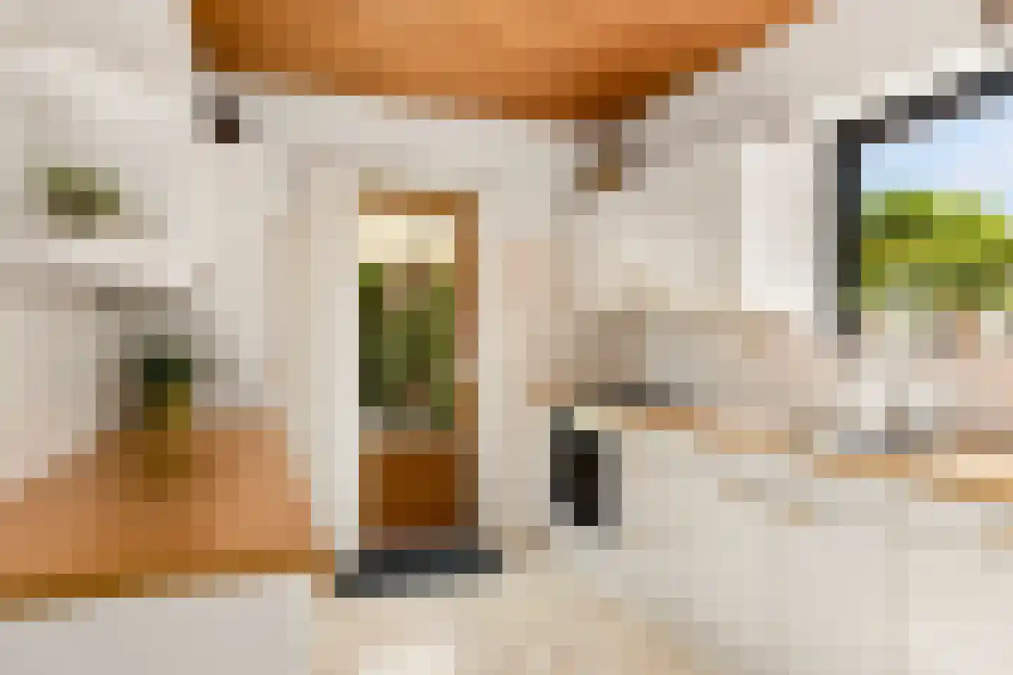 Prins Bernhardstraat 18 Bunnik thumbnail 29