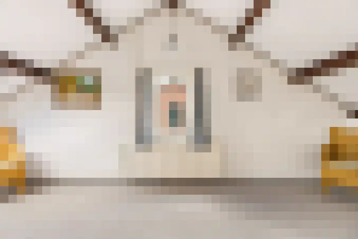 Prins Bernhardstraat 18 Bunnik thumbnail 50
