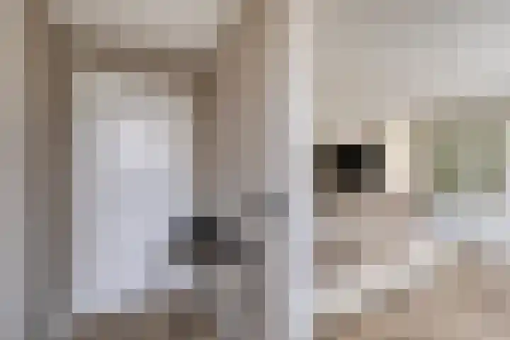Prins Bernhardstraat 18 Zuidland thumbnail 12