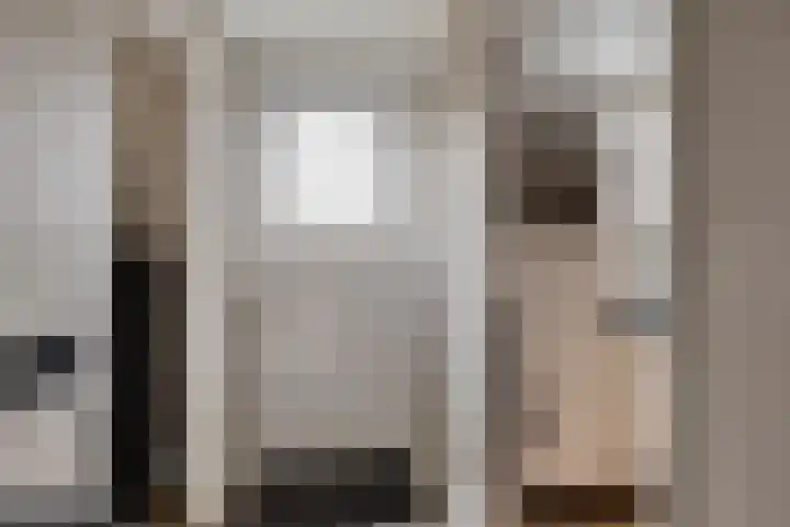 Prins Bernhardstraat 18 Zuidland thumbnail 7