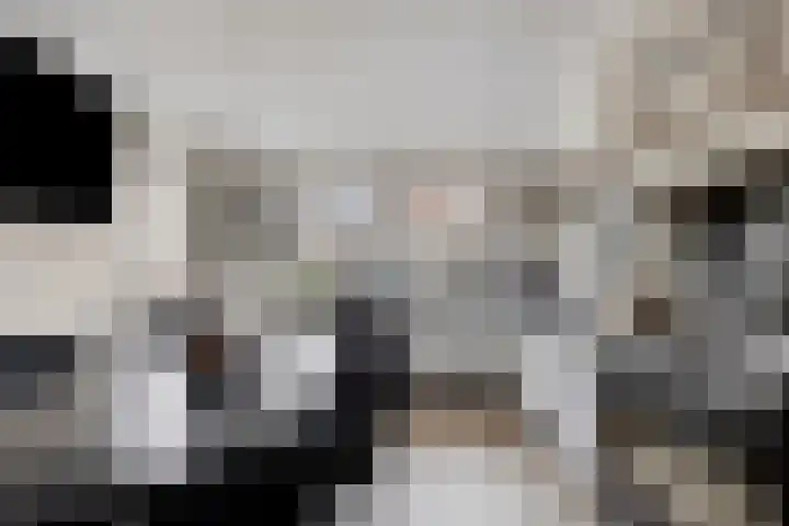 Prins Bernhardstraat 18 Zuidland thumbnail 9
