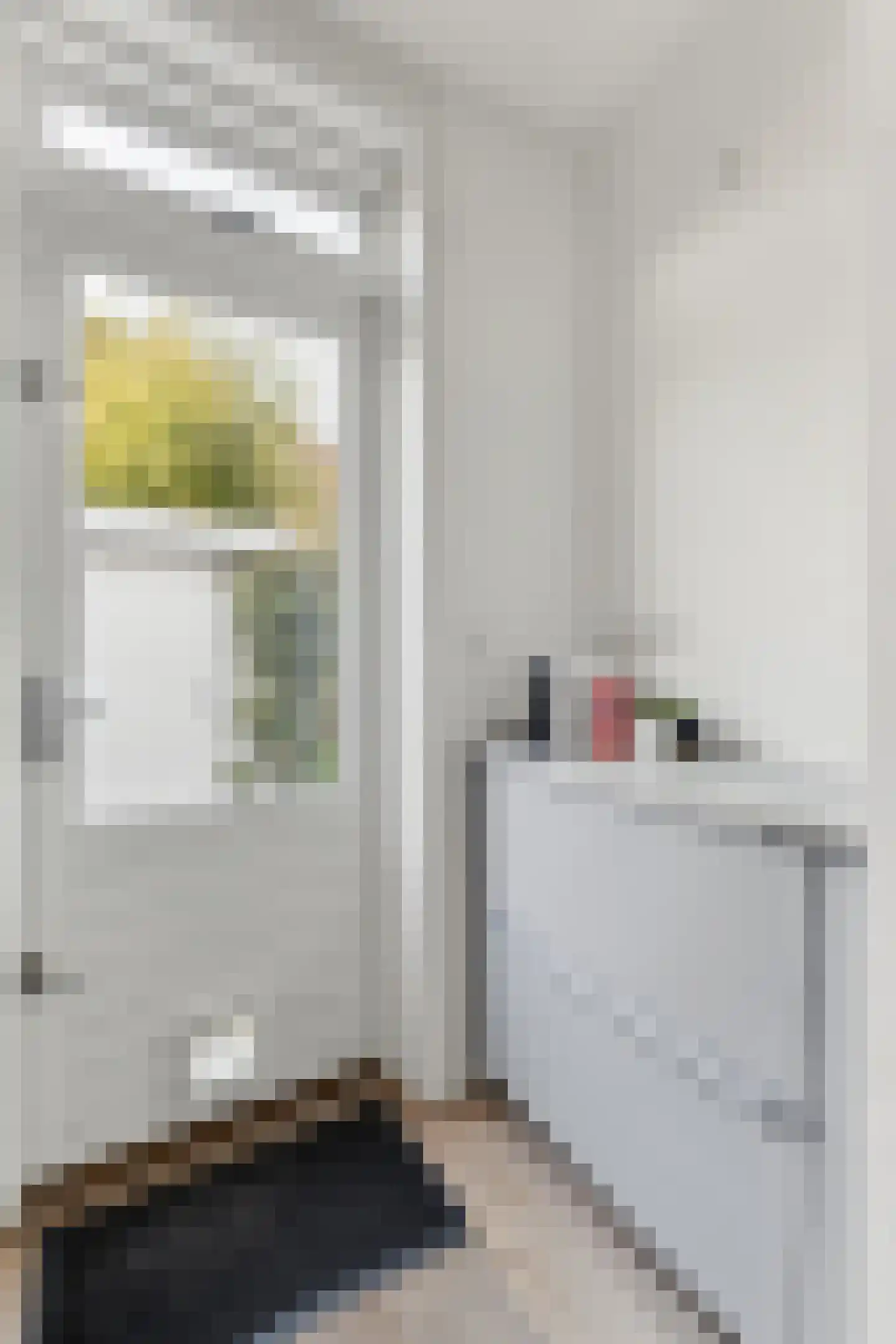 Prins Bernhardstraat 19 Castricum thumbnail 25