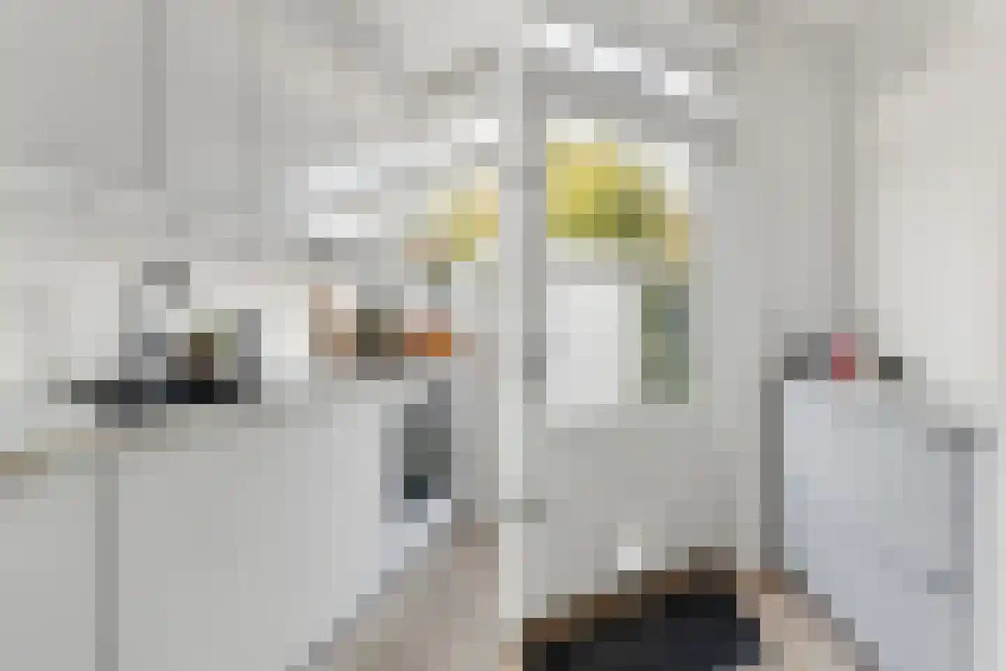 Prins Bernhardstraat 19 Castricum thumbnail 26
