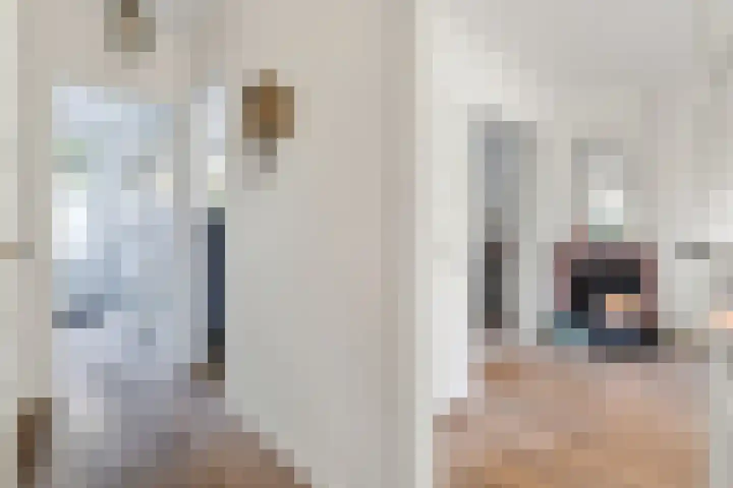 Prins Bernhardstraat 19 Castricum thumbnail 27