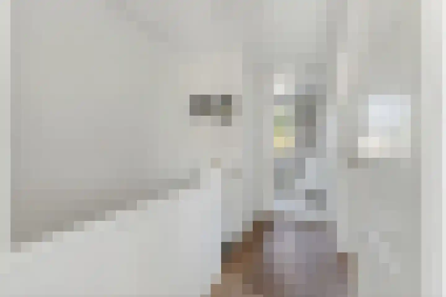 Prins Bernhardstraat 19 Castricum thumbnail 39