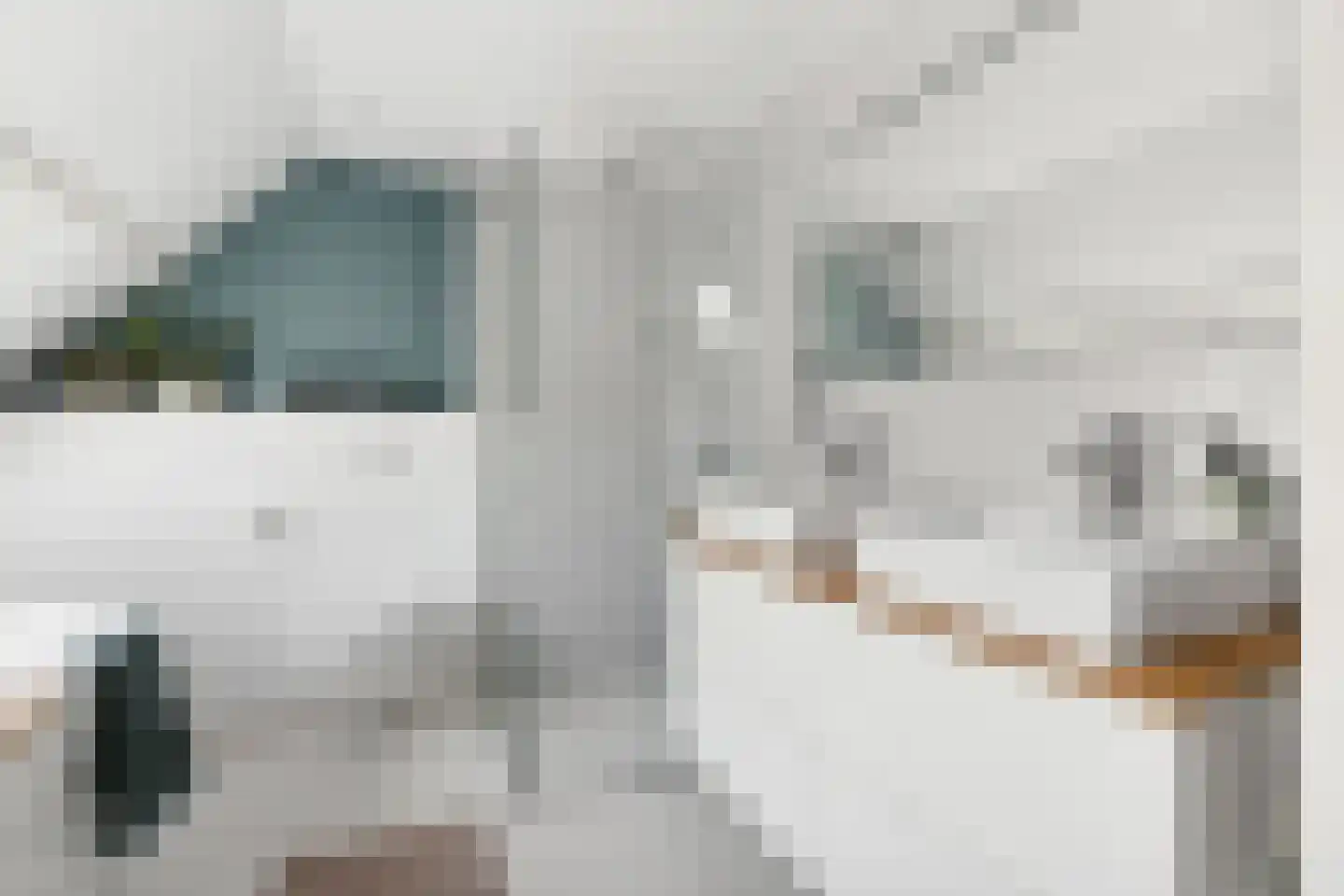 Prins Bernhardstraat 19 Castricum thumbnail 47