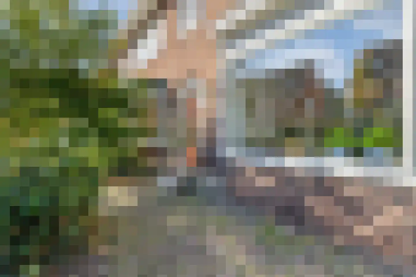 Prins Bernhardstraat 19 Castricum thumbnail 5