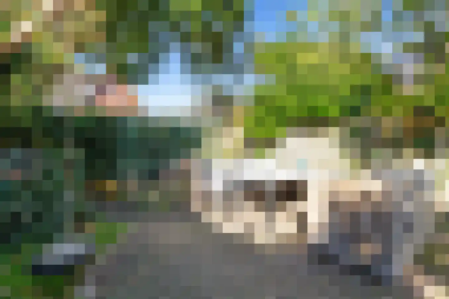 Prins Bernhardstraat 19 Castricum thumbnail 63