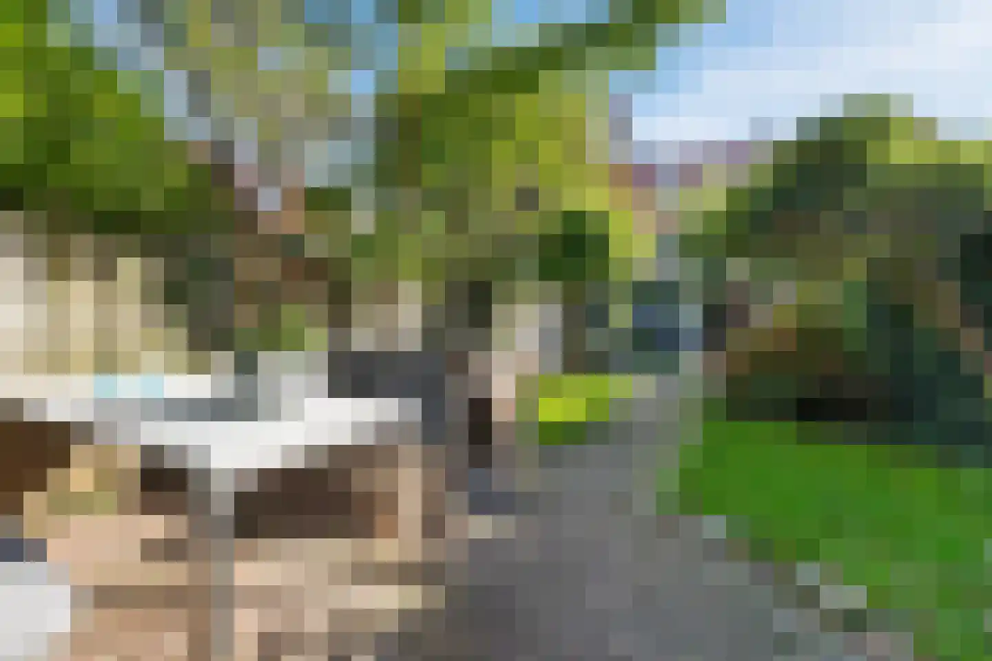 Prins Bernhardstraat 19 Castricum thumbnail 64