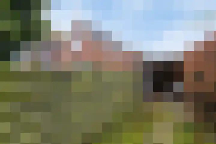 Prins Bernhardstraat 2 Assen thumbnail 48