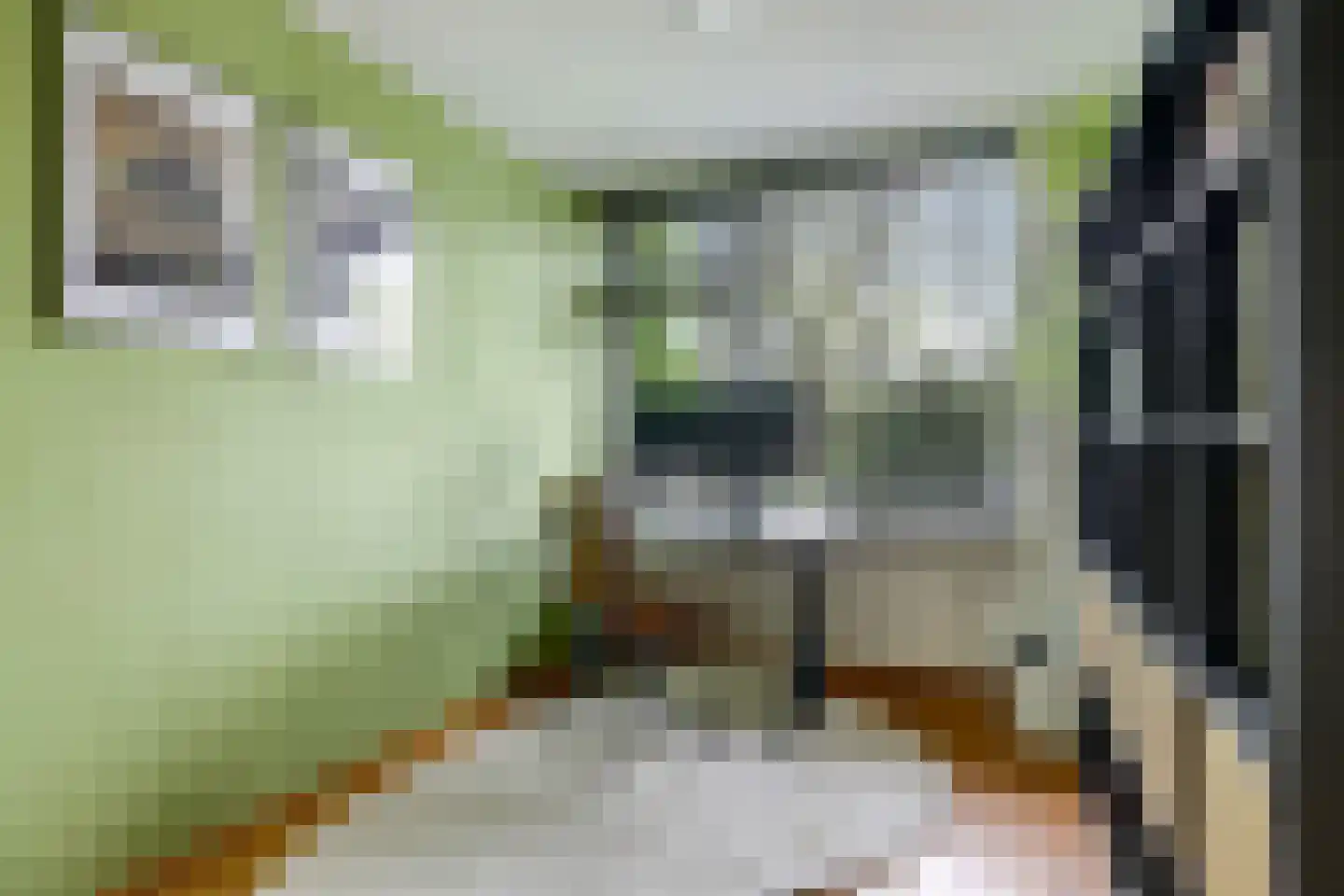Prins Bernhardstraat 2 Doetinchem thumbnail 34