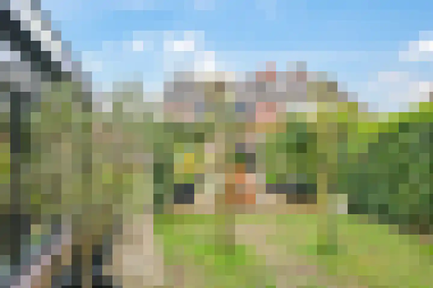 Prins Bernhardstraat 2 Doetinchem thumbnail 61