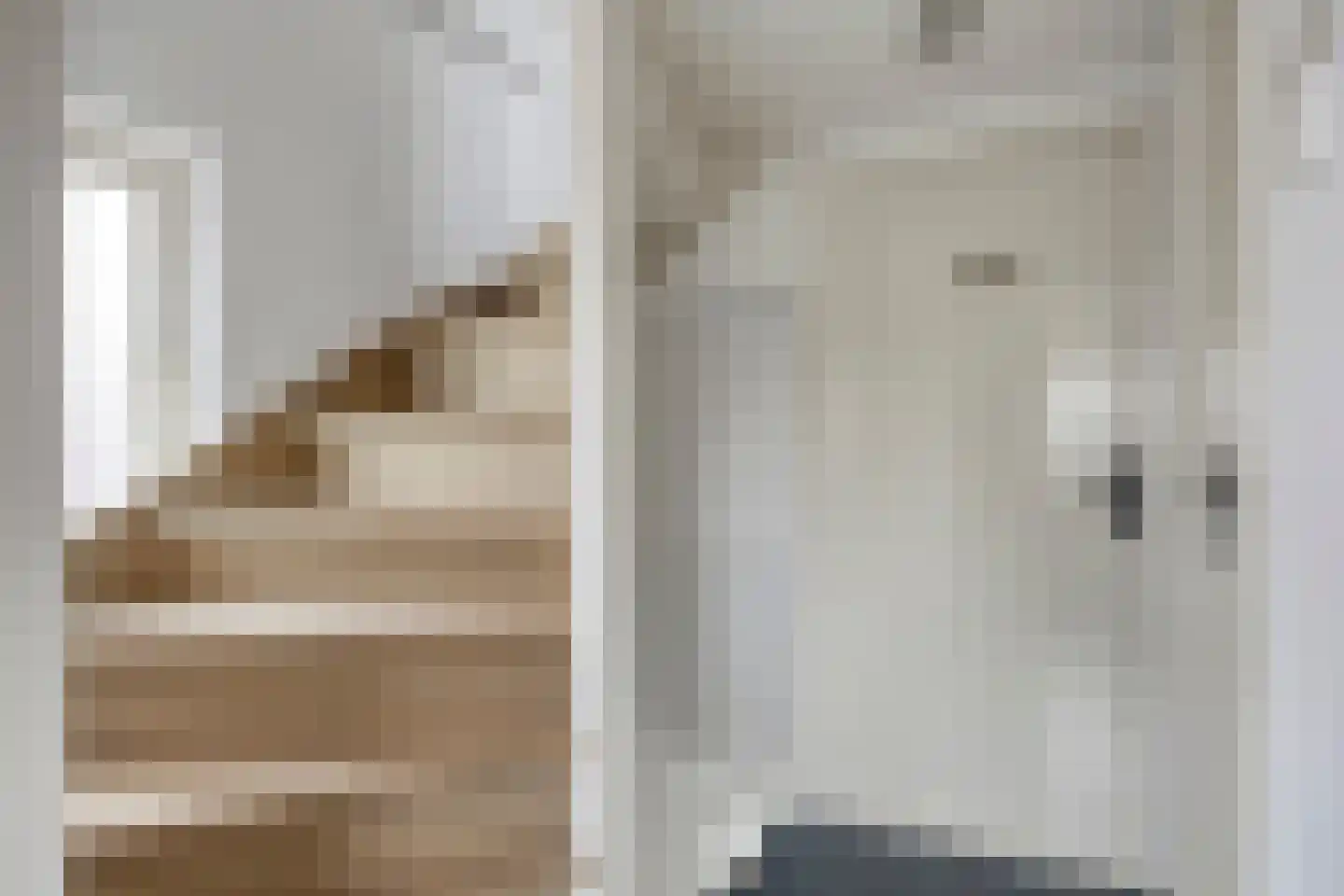 Prins Bernhardstraat 2 Hendrik-Ido-Ambacht thumbnail 17