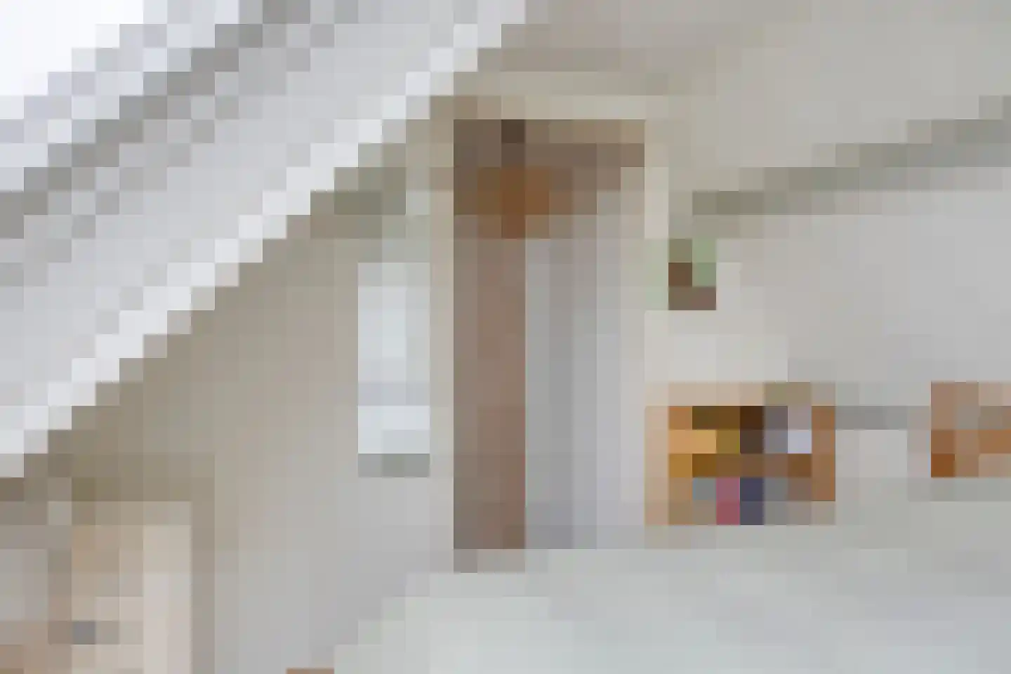 Prins Bernhardstraat 2 Hendrik-Ido-Ambacht thumbnail 19