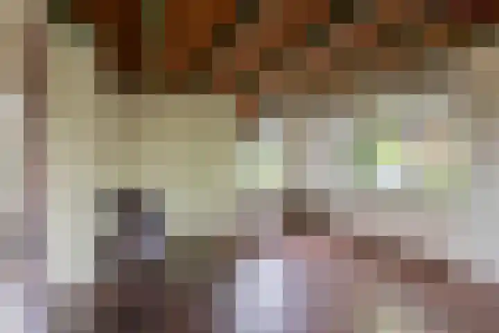 Prins Bernhardstraat 2 Lekkerkerk thumbnail 11