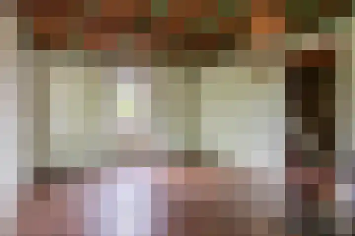 Prins Bernhardstraat 2 Lekkerkerk thumbnail 13