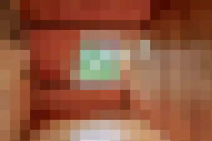 Prins Bernhardstraat 2 Lekkerkerk thumbnail 26