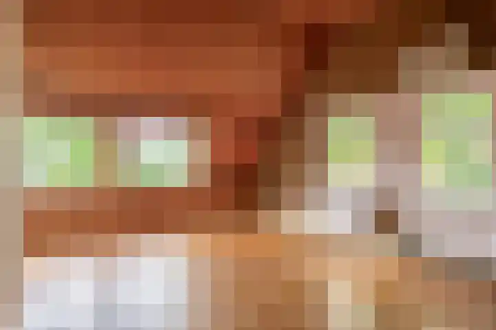 Prins Bernhardstraat 2 Lekkerkerk thumbnail 29