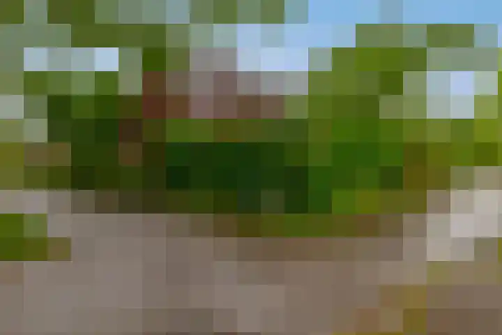 Prins Bernhardstraat 2 Lekkerkerk thumbnail 36