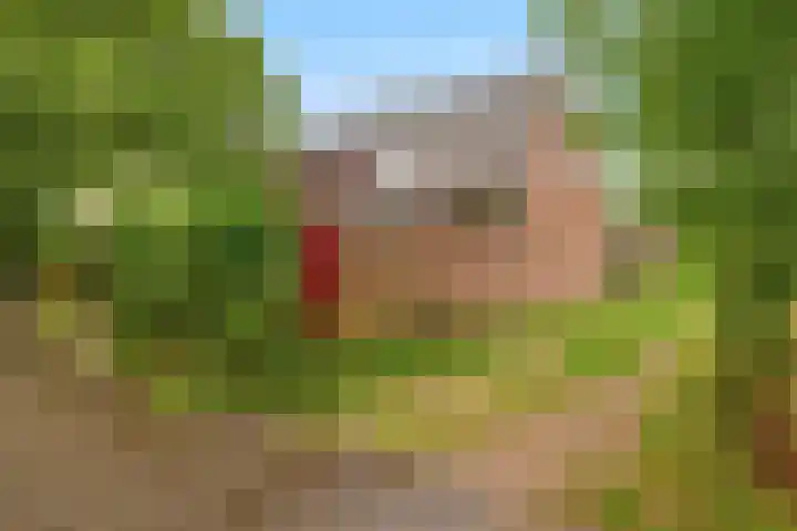 Prins Bernhardstraat 2 Lekkerkerk thumbnail 37