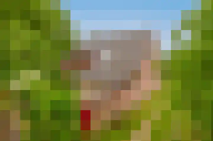 Prins Bernhardstraat 2 Lekkerkerk thumbnail 38