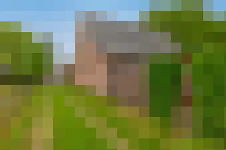 Prins Bernhardstraat 2 Lekkerkerk thumbnail 39