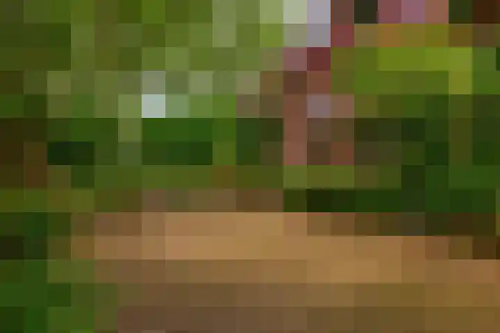 Prins Bernhardstraat 2 Lekkerkerk thumbnail 4