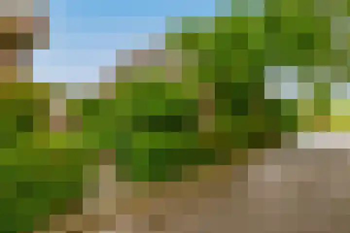 Prins Bernhardstraat 2 Lekkerkerk thumbnail 40