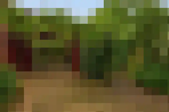 Prins Bernhardstraat 2 Lekkerkerk thumbnail 41