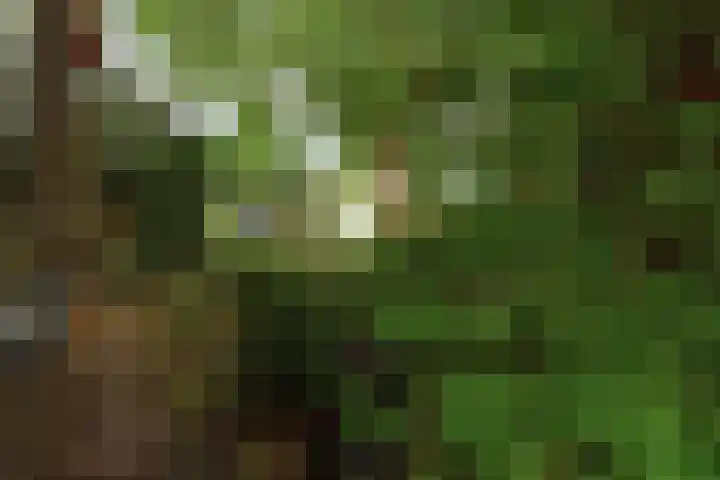 Prins Bernhardstraat 2 Lekkerkerk thumbnail 43