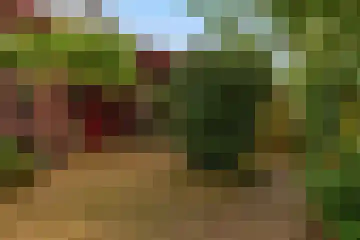 Prins Bernhardstraat 2 Lekkerkerk thumbnail 46
