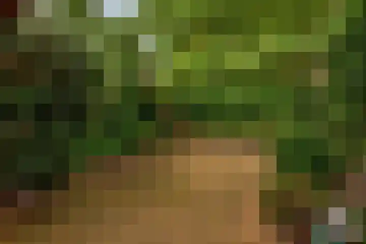 Prins Bernhardstraat 2 Lekkerkerk thumbnail 47