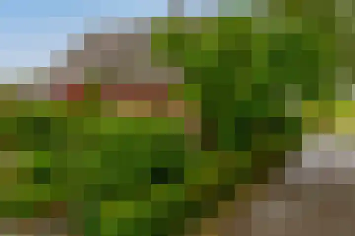 Prins Bernhardstraat 2 Lekkerkerk thumbnail 48
