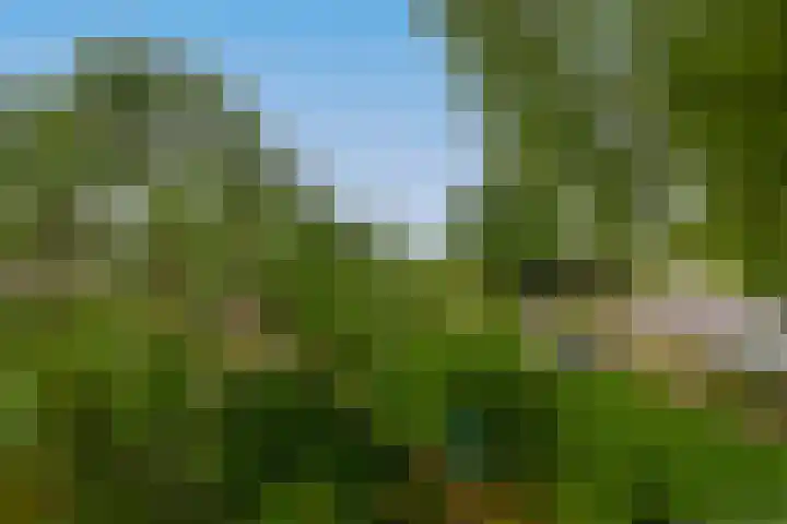 Prins Bernhardstraat 2 Lekkerkerk thumbnail 49