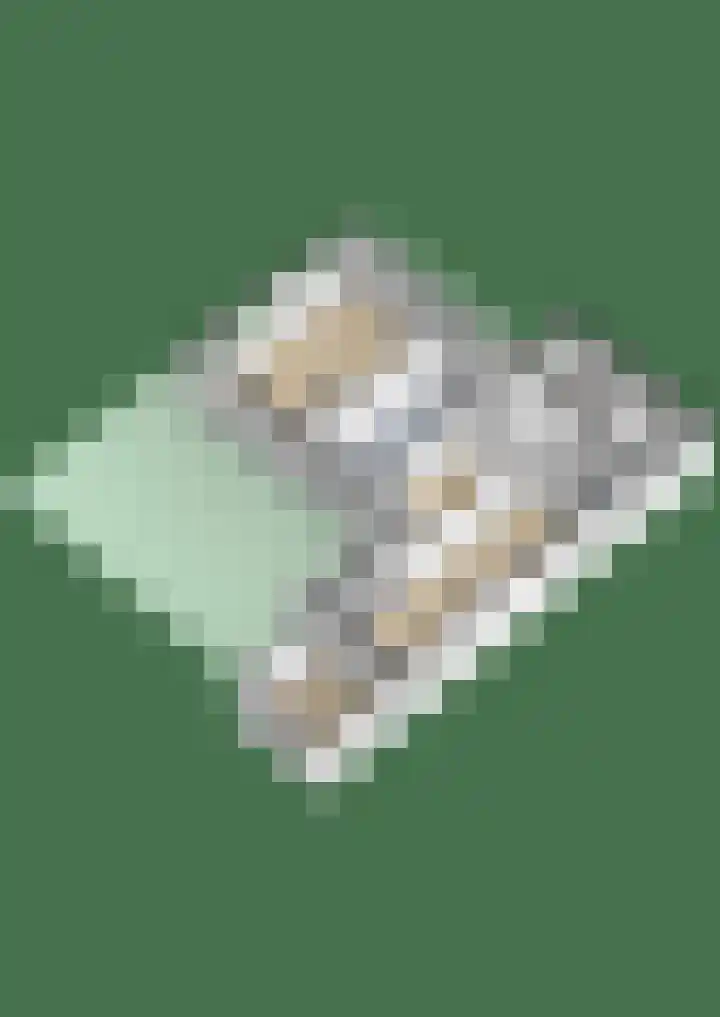 Prins Bernhardstraat 2 Lekkerkerk thumbnail 55
