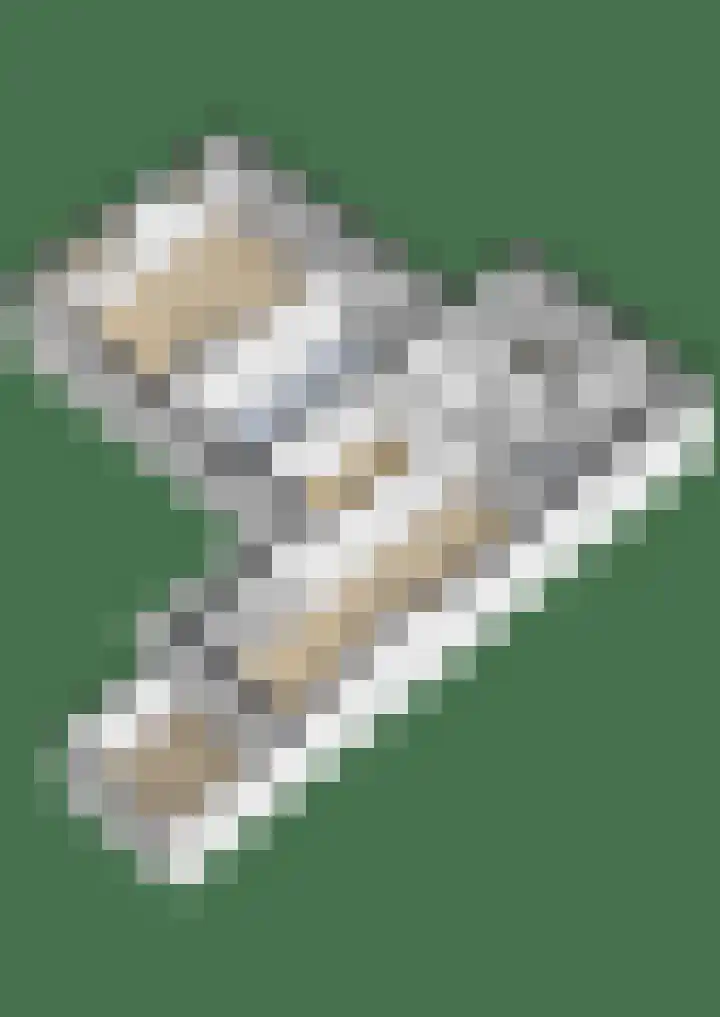 Prins Bernhardstraat 2 Lekkerkerk thumbnail 57