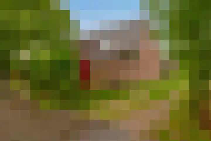 Prins Bernhardstraat 2 Lekkerkerk thumbnail 6